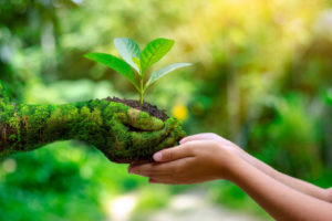 5 marcas peruanas eco-amigables y conscientes