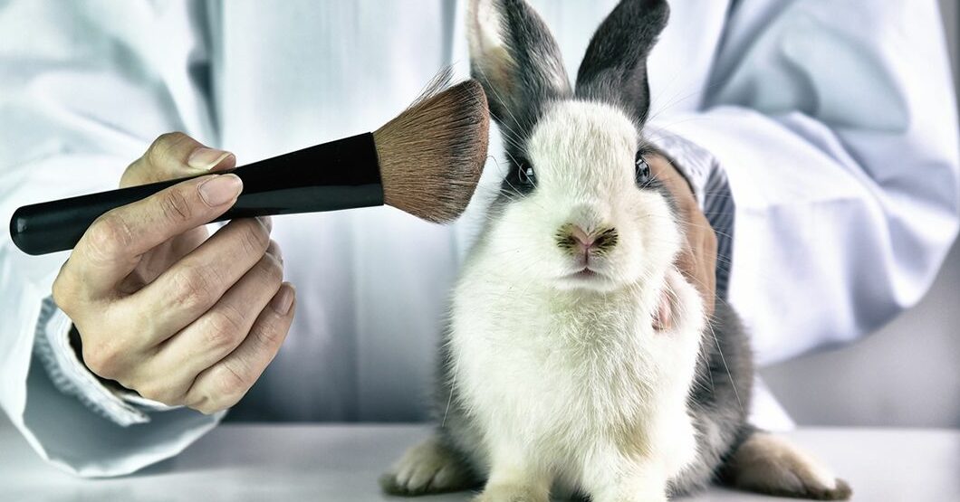 Qué son los cosméticos libres de crueldad animal